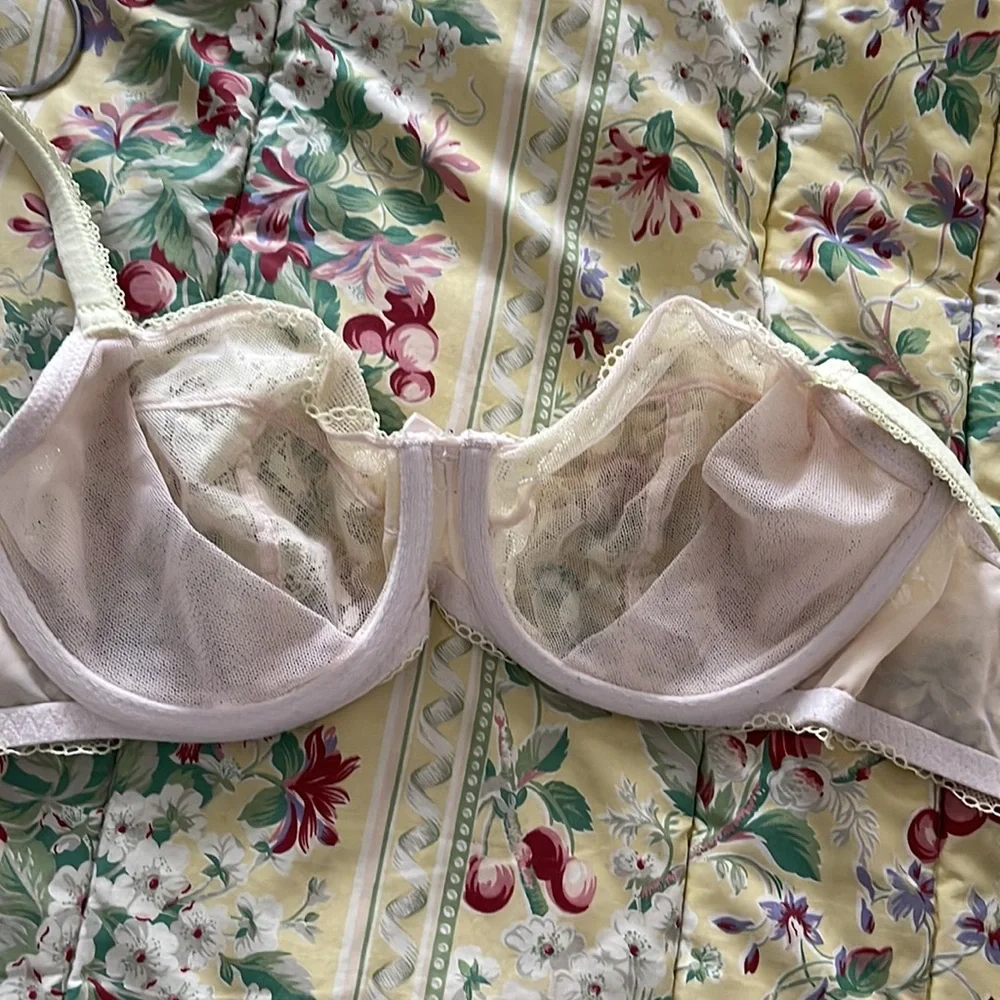 Victoria’s Secret Yellow Floral Lace Underwire Demi Bra Sheer Romantic 36C